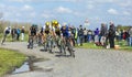 The Peloton - Paris Roubaix 2016