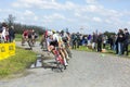 The Peloton - Paris Roubaix 2016