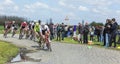 The Peloton - Paris Roubaix 2016