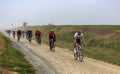 The Peloton - Paris-Roubaix 2019