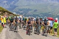 The Peloton in Pyrenees Mountains Royalty Free Stock Photo