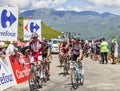 The Peloton in Pyrenees Mountains Royalty Free Stock Photo