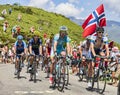 The Peloton in Pyrenees Mountains