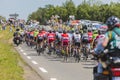 The Peloton - Tour de France 2017 Royalty Free Stock Photo