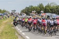 The Peloton - Tour de France 2017 Royalty Free Stock Photo