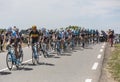 The Peloton - Tour de France 2017 Royalty Free Stock Photo