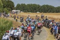 The Peloton - Tour de France 2018 Royalty Free Stock Photo