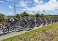 The Peloton - Tour de France 2016