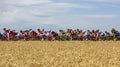 The Peloton - Tour de France 2017 Royalty Free Stock Photo