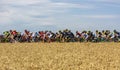 The Peloton - Tour de France 2017 Royalty Free Stock Photo