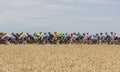 The Peloton - Tour de France 2017 Royalty Free Stock Photo