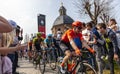 The Peloton - Tour of Flanders 2019