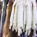 Pelts of ermine Royalty Free Stock Photo