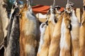 Pelts of fur animals hang on rope