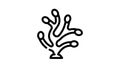 pelvetia grooved seaweed line icon animation