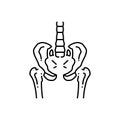 Black line icon for Pelvic, bones and snuffle