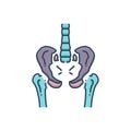 Color illustration icon for Pelvic, bones and snuffle