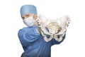 Pelvis in the hands of the surgeon