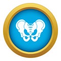 Pelvis icon blue vector isolated