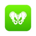 Pelvis icon digital green