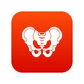 Pelvis icon digital red