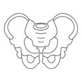 Pelvis icon, outline style