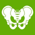 Pelvis icon green