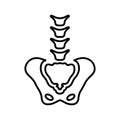 Pelvis, skeleton, anatomy, body, bones, joint, x-ray icon. Simple vector sketch.