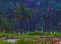 pemandangan indah ketika hujan turun