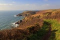 Pembroke Coastal Path and the wild Pembroke Coast Line with sun glowing on yellow gorse bushes