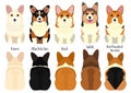 Pembroke Corgi dogs 5 color variations Royalty Free Stock Photo