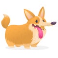 Pembroke Welsh Corgi Dog cartoon. Vector illustration of a cute doggy with long tongue.