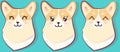 Pembroke welsh corgi cartoon illustration. Kawaii breed corgi stickers set, funny little dog