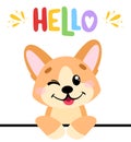 Pembroke welsh corgi with lettering Hello.