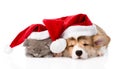 Pembroke Welsh Corgi puppy and kitten with red santa hats sleeping together. isolated Royalty Free Stock Photo