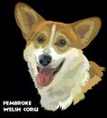 Pembroke Welsh Corgi, vector portrait