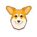 Pembroke Welsh Corgi