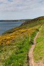 Pembrokeshire coast Newgale and Rickets Head St Bride's Bay Wales