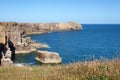 Pembrokeshire coast, summer landscape