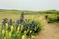 Pembrokeshire Wales wild landscape