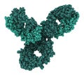 Pembrolizumab monoclonal antibody drug protein. Immune checkpoint inhibitor targetting PD-1, used in the treatment of a number of.