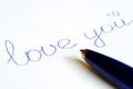 Pen blue lettering on paper love you. Royalty Free Stock Photo