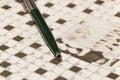 Pen on a crossword Royalty Free Stock Photo