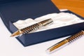 Pen - gift Royalty Free Stock Photo