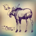 Pen graphics vector moose drawing