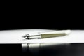 Pen lying on a document Royalty Free Stock Photo