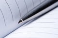 Pen on notebook pages close-up. Royalty Free Stock Photo