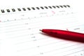 Pen on open diary Royalty Free Stock Photo