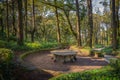 Pena Palace National Park in Sintra Lisbon Portugal Royalty Free Stock Photo