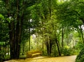 The Pena Park is a vast forested area